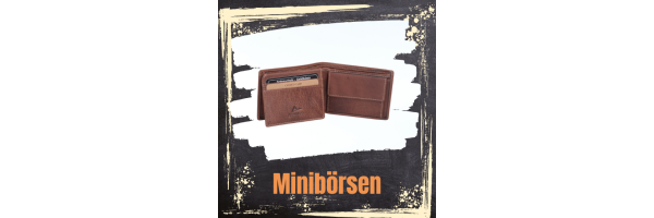 Minibörsen