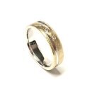 Gold bicolor Ring 585/- GG Brillant 0,08 ct vsi eismatt matt Trauring Bandring #58