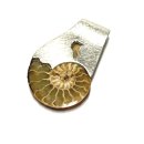 Ammonit Kettenanhänger 925/- Silber Unikat...