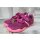 LICO Mädchen Barfuß Kletthalbschuh pink rosa aus Textil